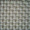 Galvanized square wire mesh